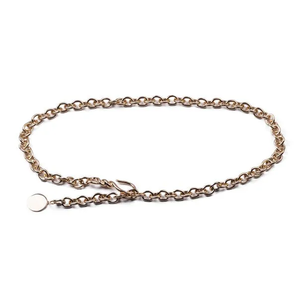 Chain Link Belt