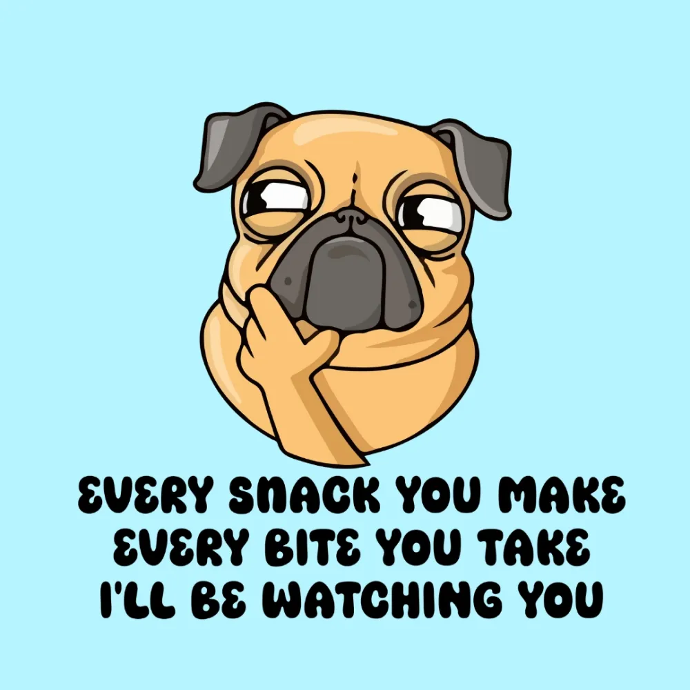 Cheeku I'll Be Watching You Graphic Cotton T Shirt for Dogs and Cats (Sky Blue)