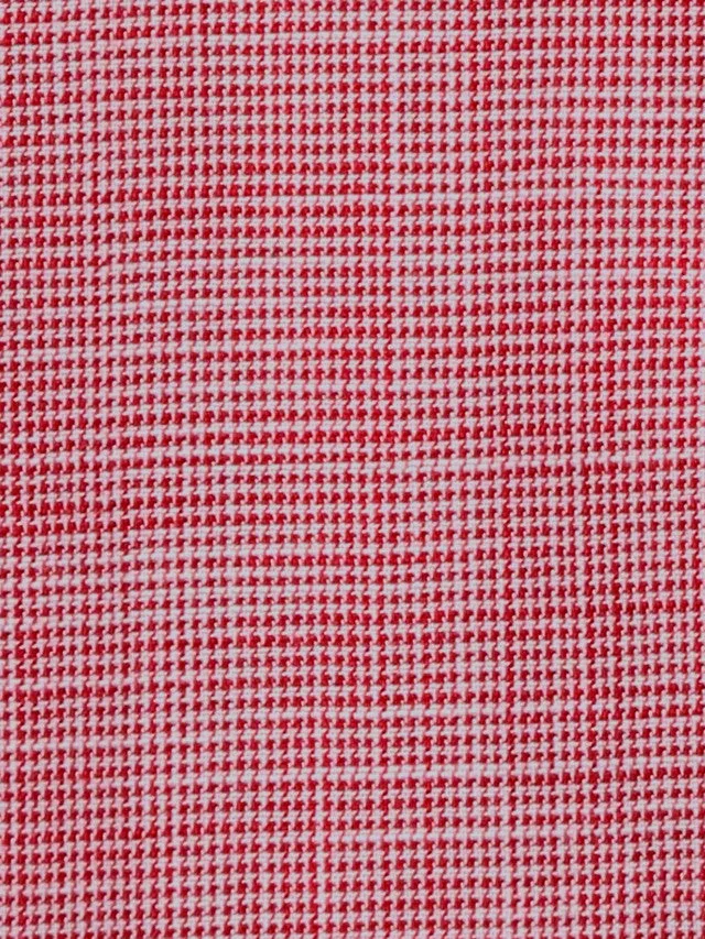 Colorplus Men Red Checkered Tailored Fit Half Sleeve Spread Collar Shirt